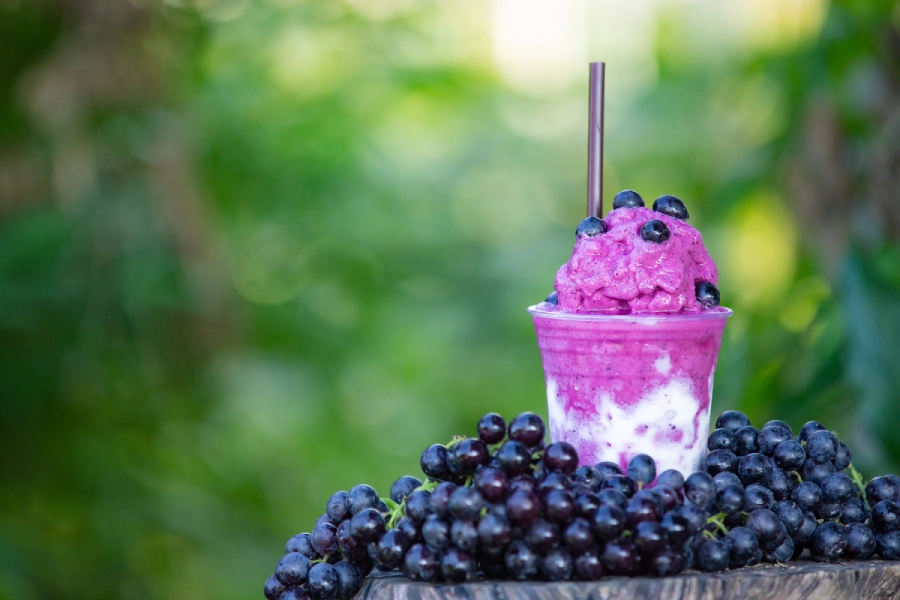 Purple grape and yogurt ice dessert topped with blueberries, served in a clear plastic cup, surrounded by fresh grapes.